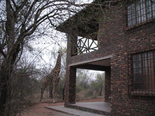 Crowe'S Nest Villa Marloth Park Dış mekan fotoğraf